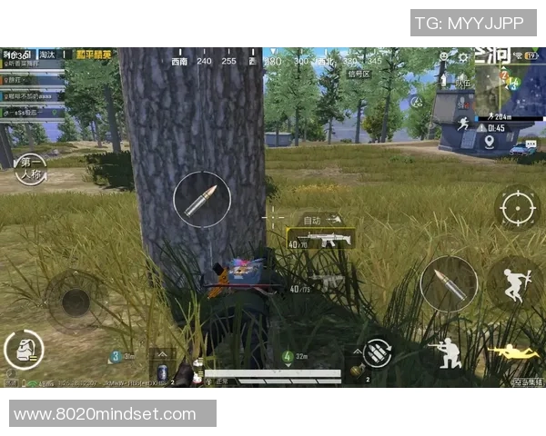 和平精英巨献揭秘LNG选手心理素质与竞技表现的深度关系